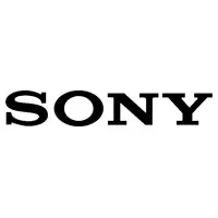 Ремонт нетбуков Sony в Пензе