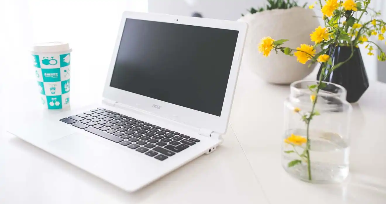 Ремонт ноутбуков Acer в Пензе